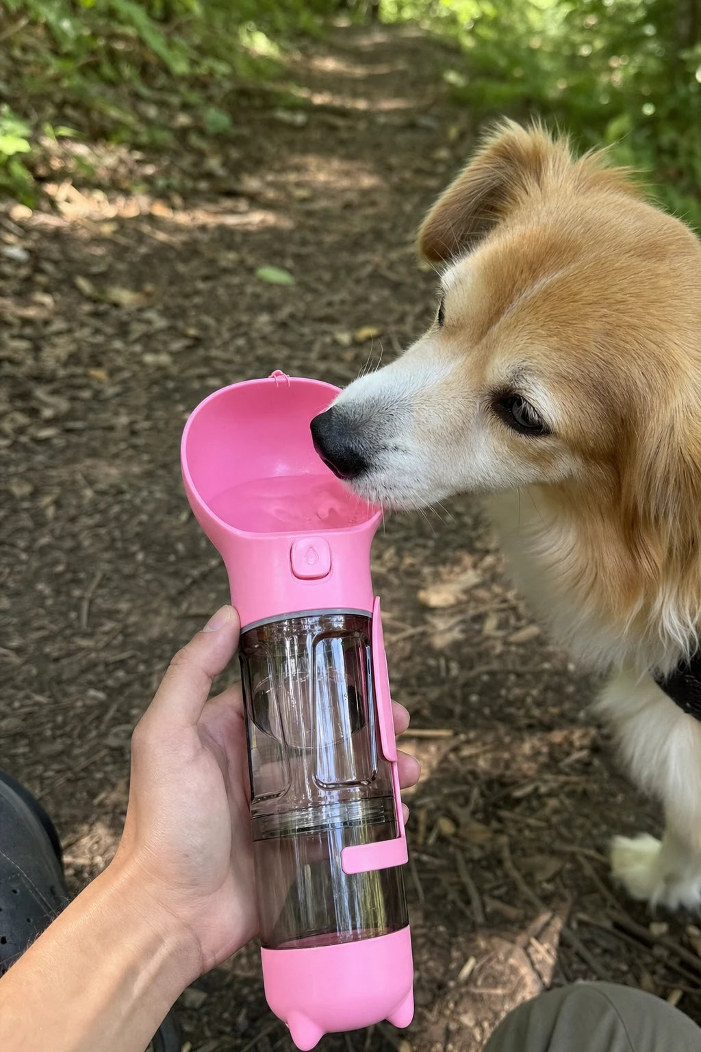 300ml Portable Dog Water Bottle with Built-In Bowl
